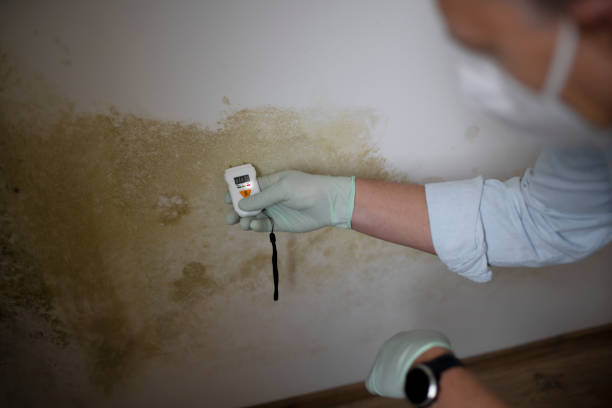 Best Home Mold Removal  in Slaton, TX