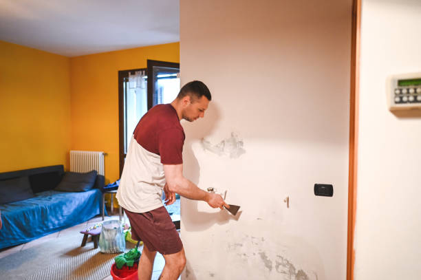 Best Black Mold Removal  in Slaton, TX