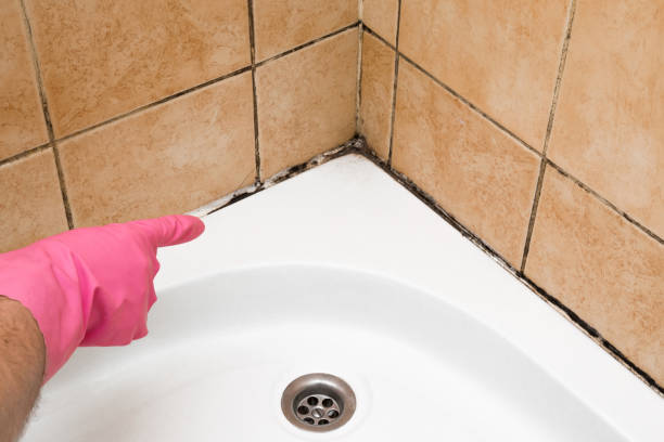 Best Black Mold Removal  in Slaton, TX